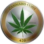 CANN图标